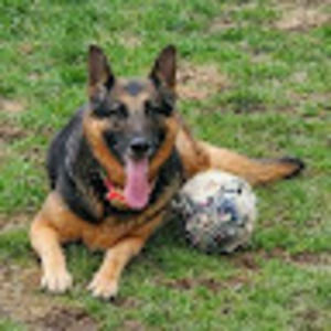 Meet your Posher, Liana